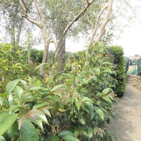 Casa Puccini *