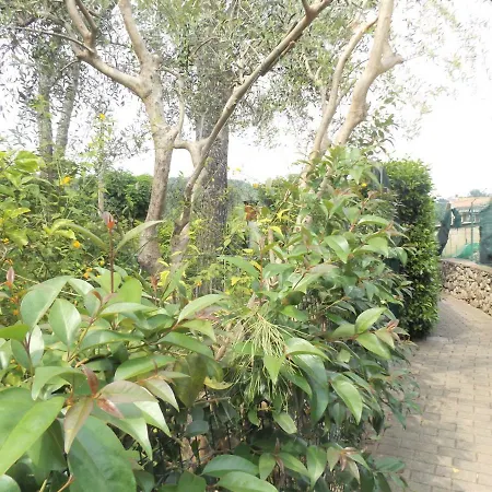 Casa Puccini *